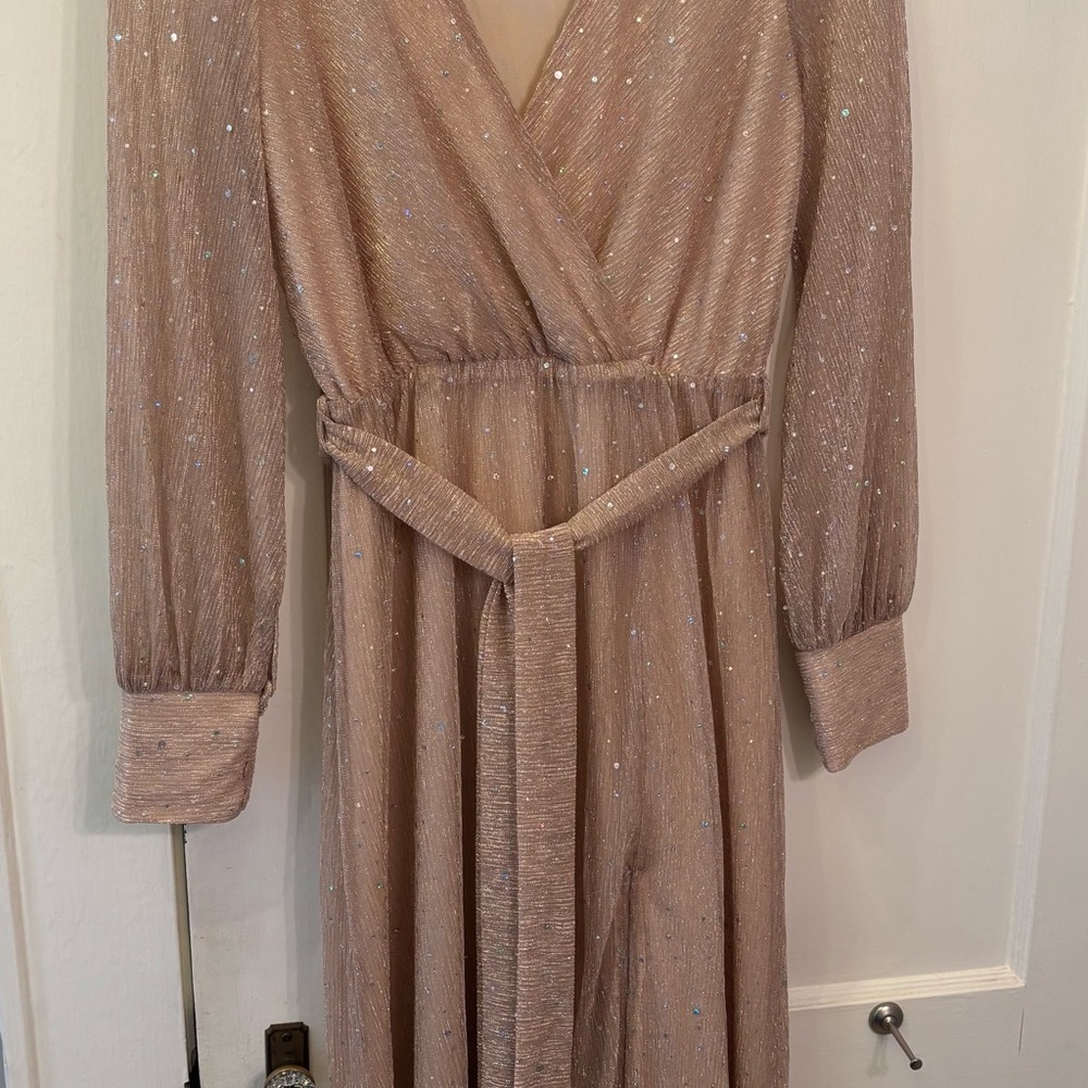 Beautiful Baltic Born elegant dress, NWT, M
